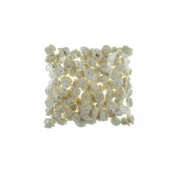 Termés Sola Beli 2cm s/100 natúr