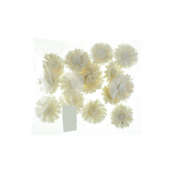 Termés Sola Sun Flower 4cm s/15 natúr