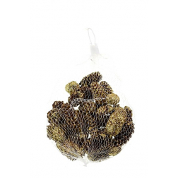 Termés toboz 150g arany