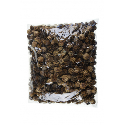 Termés toboz 3-4cm barna