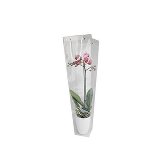 Ajándéktasak PP 14/8,5xH47cm átlátszó