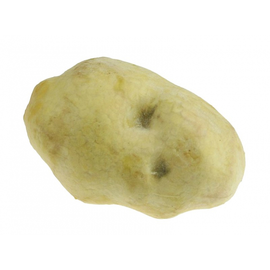 Burgonya 10cm sárga Zmrst