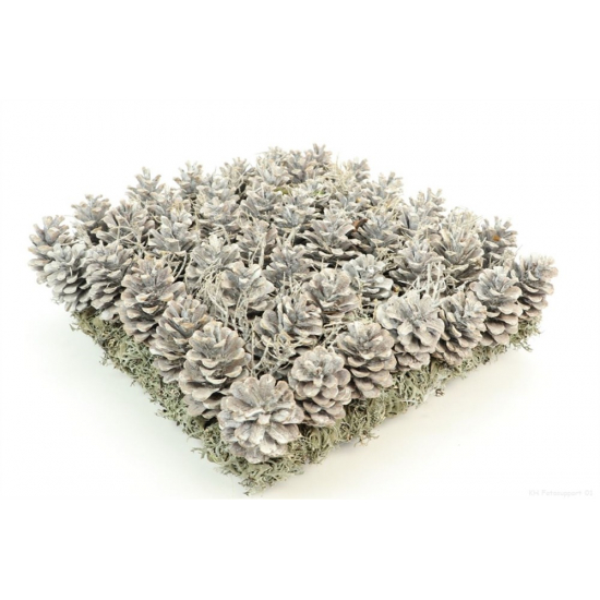 Dekoráció moha+toboz 35*35cm mosott fehér