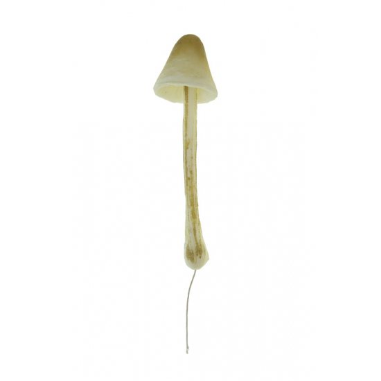 Gomba hab 4×15 cm barna