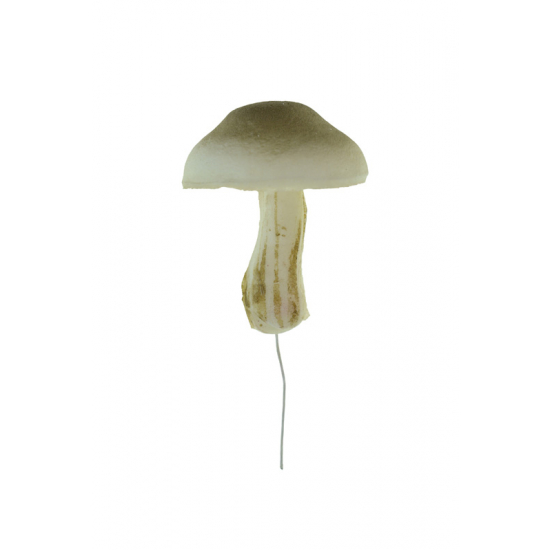 Gomba hab 5.5×7.5cm barna