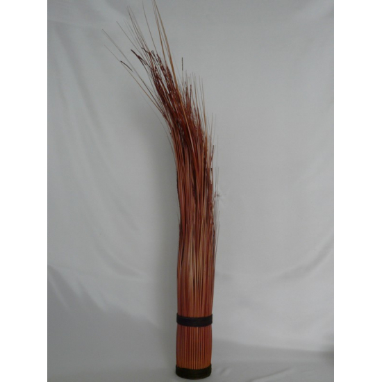 Isolepsis Autumn 105cm
