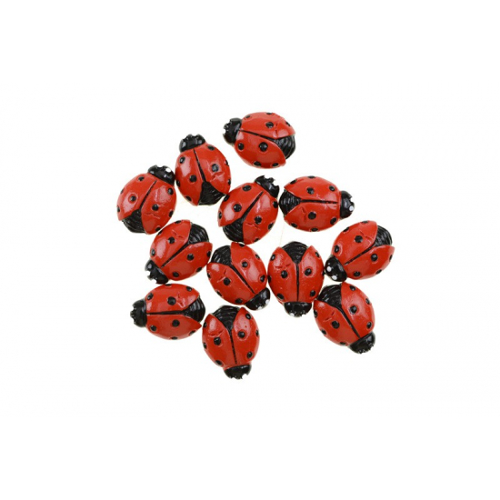 Katicabogár poly 1,9cm s/12 piros