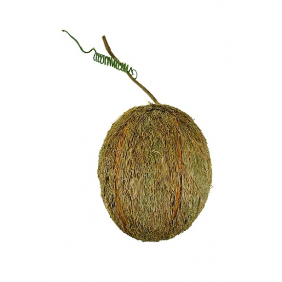 Kókuszdió fű szárral 13*16cm natúr Zmrst