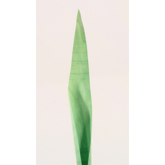 Levél háncs 45cm zöld