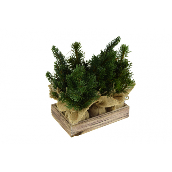 Műfenyő zsákban 25cm s/6 zöld
