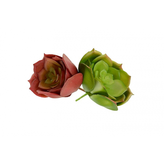 Műnövény pozsgás 7*4cm több szín