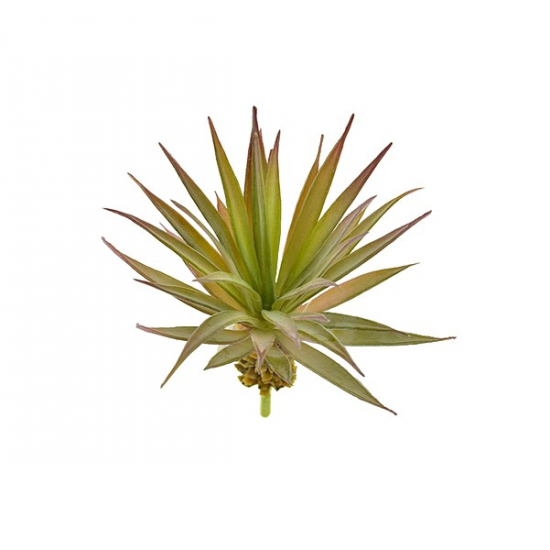 Műnövény pozsgás Agave 20cm 2 szín