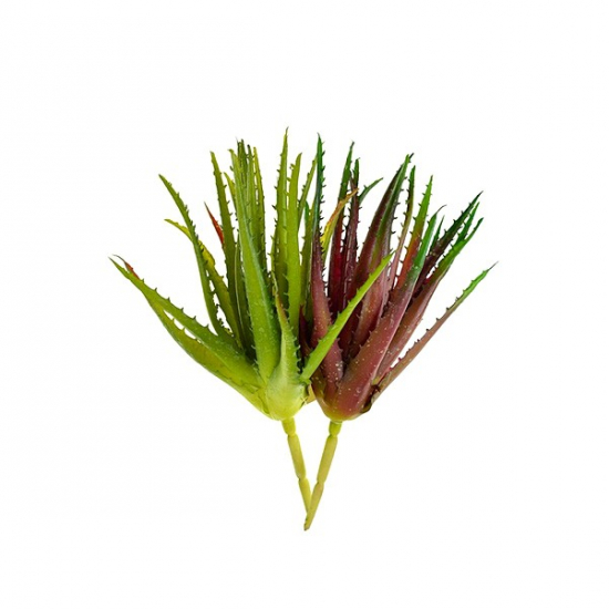 Műnövény pozsgás Aloe 25cm 2 szín