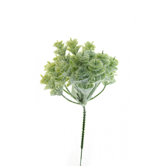 Pick 24cm havas zöld