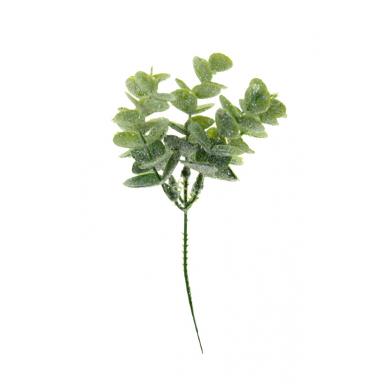 Pick ág eukaliptus 23CM bogyókkal zöld/fehér