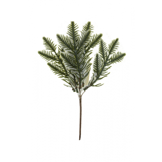 Pick fenyő 20CM dús havas zöld