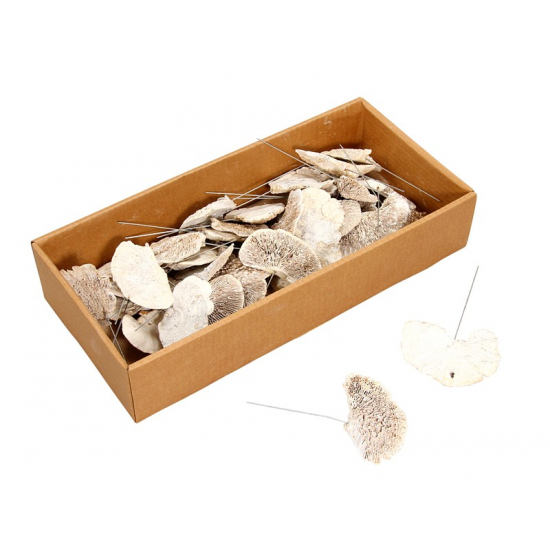 Pick termés taplógomba 10cm s/40 mosott fehér