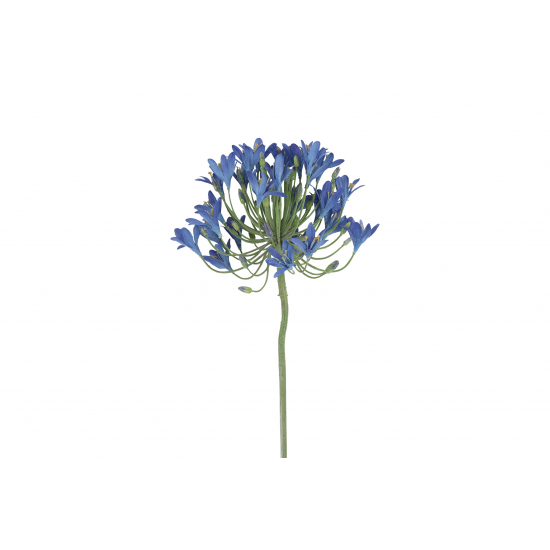 Selyemvirág agapanthus 90cm kék