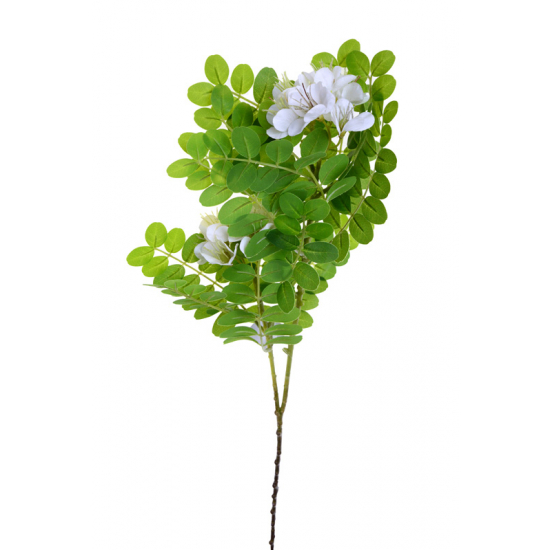 Selyemvirág akác ág 70CM 2virággal fehér