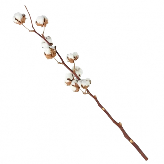 Selyemvirág barka 84cm fehér