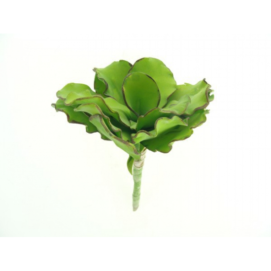Selyemvirág echeveria gumi 18cm zöld