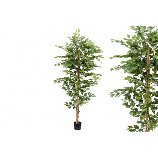 Selyemvirág fikusz cserepes 210cm zöld
