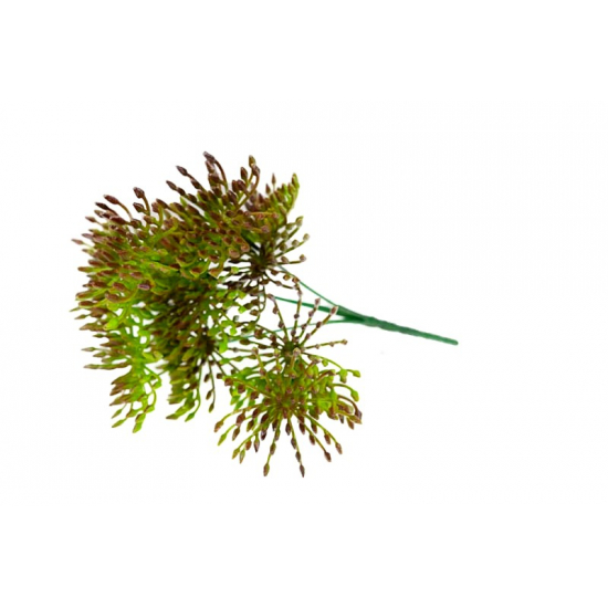 Selyemvirág leucospermum (tűpárna) csokor lila