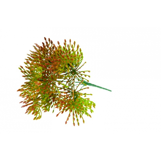 Selyemvirág leucospermum (tűpárna) csokor piros