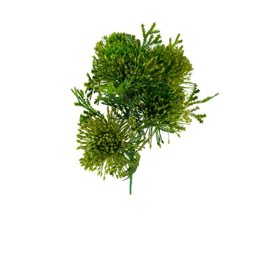 Selyemvirág leucospermum(tűpárna) csokor zöld