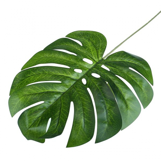 Selyemvirág levél Monstera 60-65cm zöld