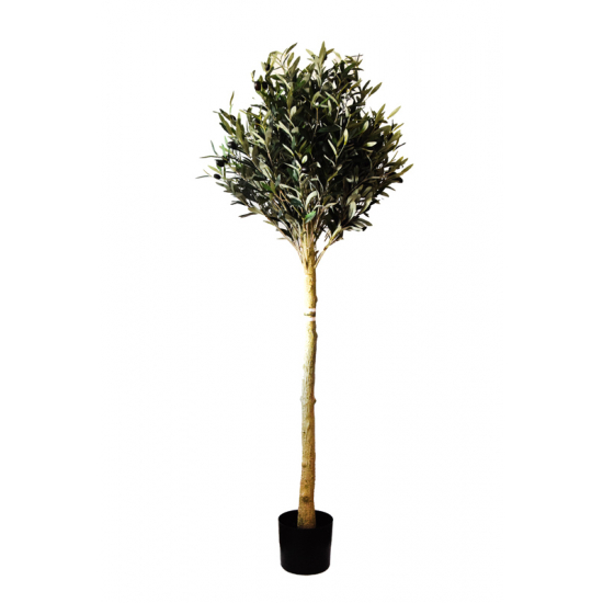 Selyemvirág olívafa 150cm zöld