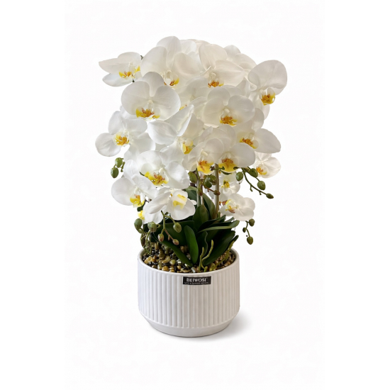 Selyemvirág orchidea kaspóban 55cm fehér