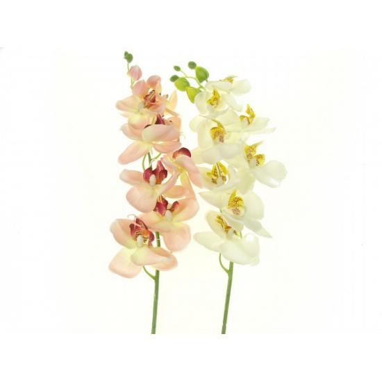Selyemvirág phalaenopsis 78cm 1szálas több szín