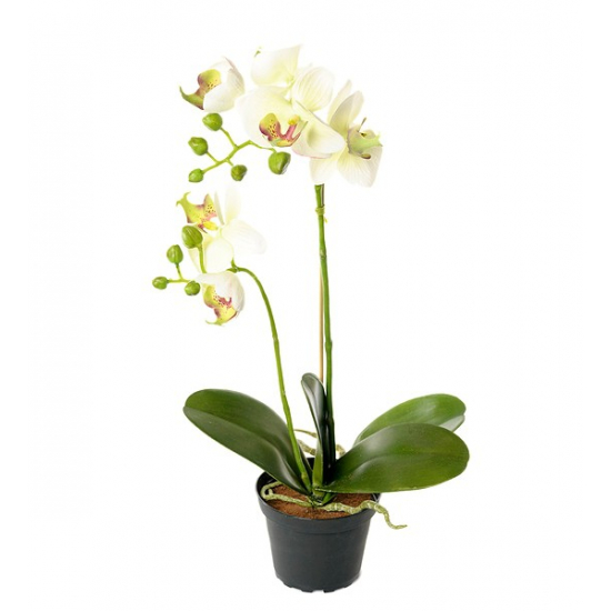 Selyemvirág Phalaenopsis cserépben 45cm tört fehér