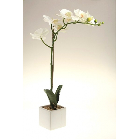 Selyemvirág phalaenopsis cserépben 8 fejes fehér