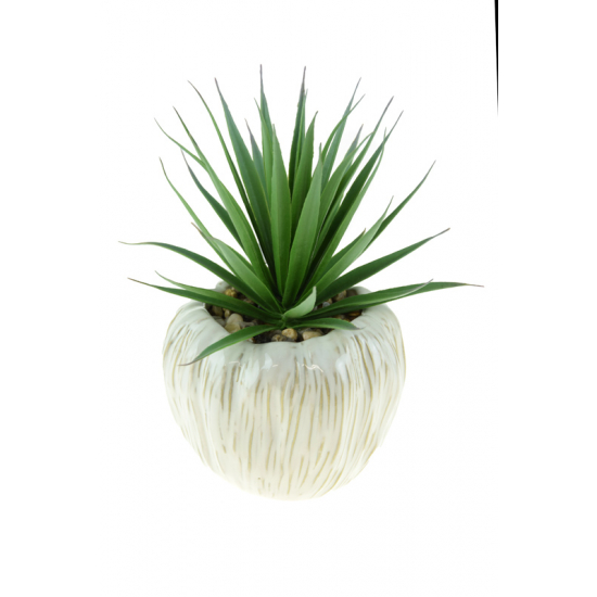Selyemvirág pozsgás kaspóban 17*20cm zöld