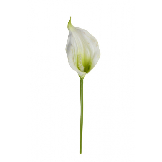 Selyemvirág kála szálas 33cm krém