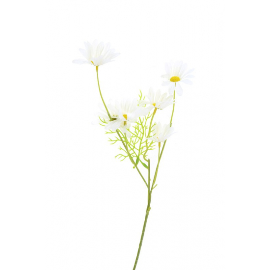 Selyemvirág százszorszép 50 cm, 5 virágfej fehér