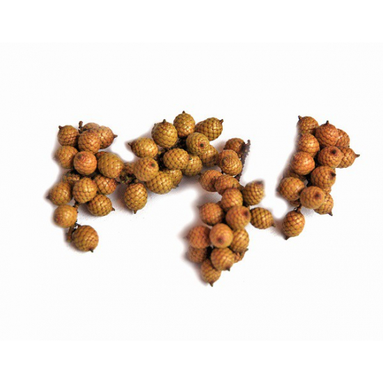 Termés Cannella 50g natúr