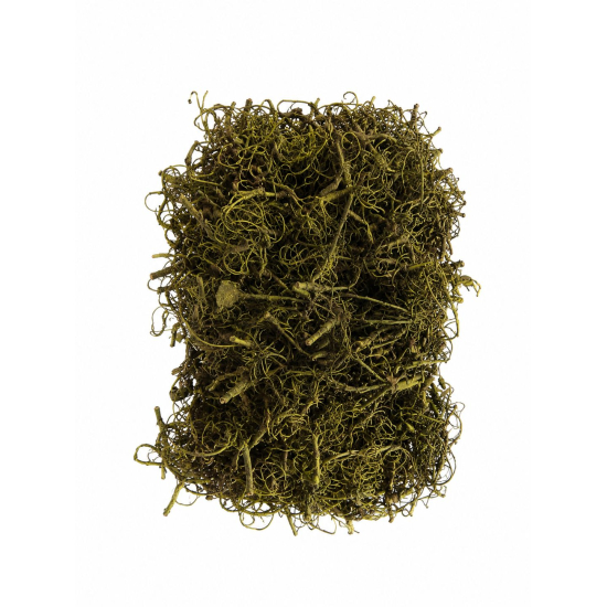 Termés Curly Moss 10dkg zöld