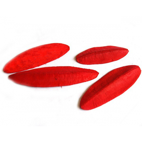Termés hüvely 50g piros