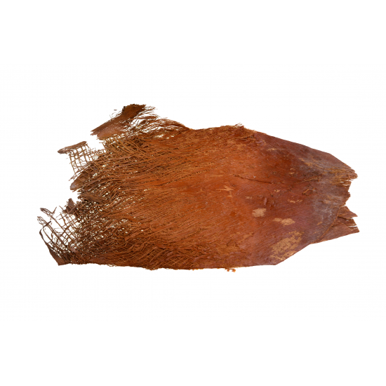 Termés Palm Fibre/Net 30dkg natúr