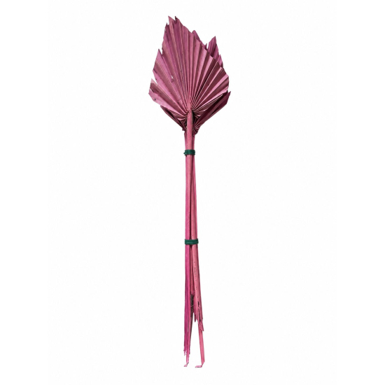 Termés Palm Spear s/5 pink