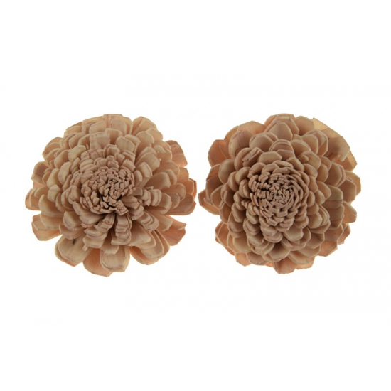 Termés Shola Flower 6cm s/4 bézs