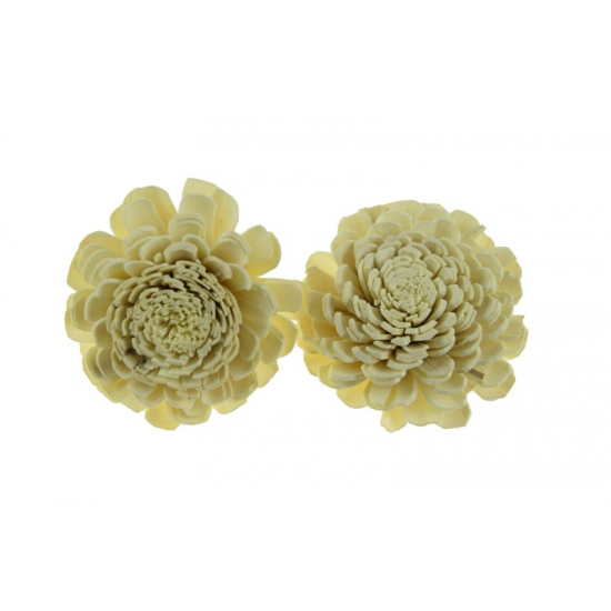 Termés Shola Flower 6cm s/4 fehér