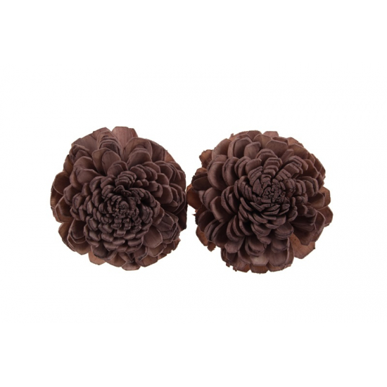 Termés Shola Flower 6cm s/4 mályva