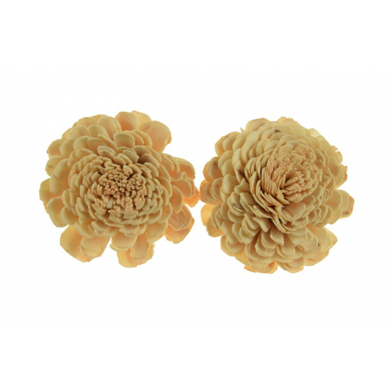 Termés Shola Flower 6cm s/4 púder