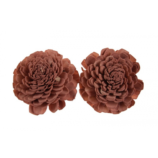 Termés Shola Flower 6cm s/4 világos mályva