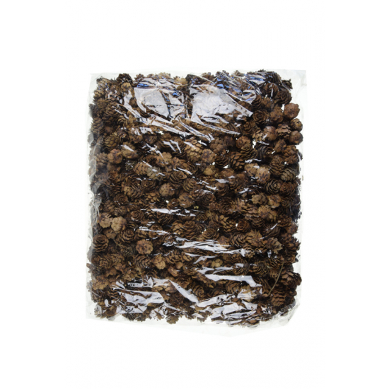 Termés toboz 2-3cm 1kg barna