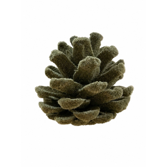 Termés toboz 5-7cm oliva zöld